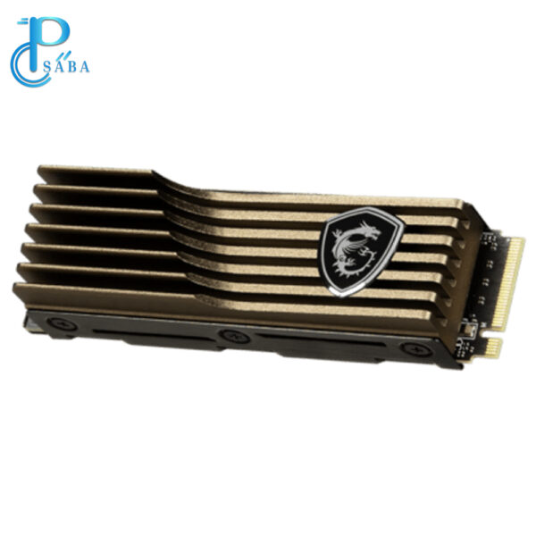 اس اس دی اینترنال ام اس آی مدل SPATIUM M570 PCIe 5.0 NVMe M.2 2TB HS M.2 2TB
